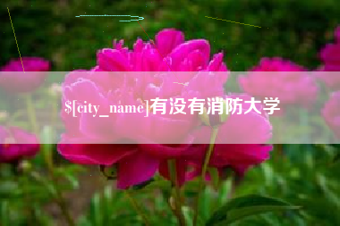 怀化有没有消防大学