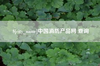 怀化中国消防产品网 查询