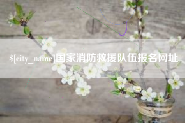 怀化国家消防救援队伍报名网址
