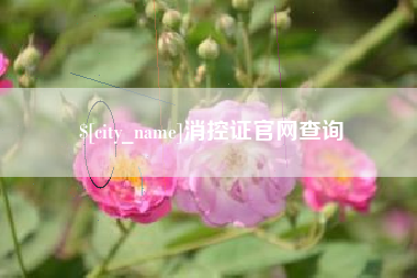 怀化消控证官网查询