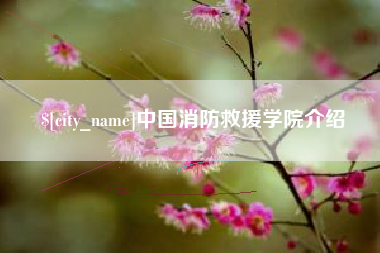 怀化中国消防救援学院介绍