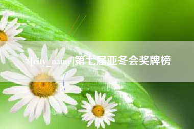 怀化第七届亚冬会奖牌榜