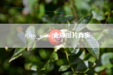 怀化金牌图片真实