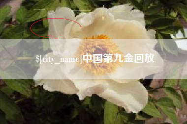 怀化中国第九金回放