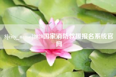 怀化2020国家消防救援报名系统官网