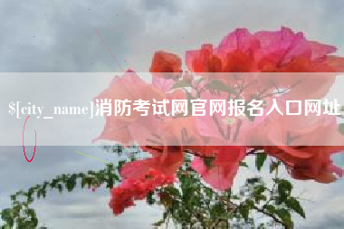 怀化消防考试网官网报名入口网址