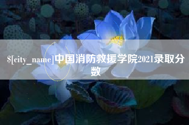 怀化中国消防救援学院2021录取分数