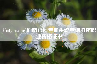 怀化消防官网查询系统查询消防职业资格证书
