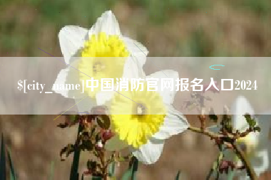 怀化中国消防官网报名入口2024