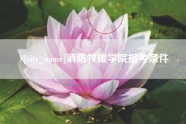 怀化消防救援学院报考条件