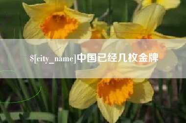 怀化中国已经几枚金牌