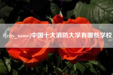 怀化中国十大消防大学有哪些学校