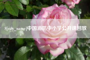 怀化中国消防中小学公开课回放