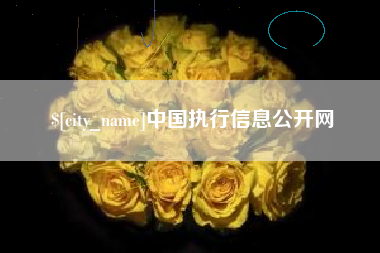 怀化中国执行信息公开网