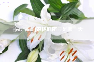 怀化森林消防日是哪一天