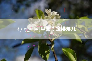 怀化中国夺金排第几