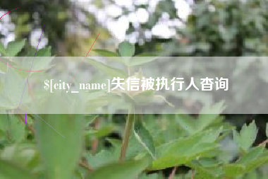 怀化失信被执行人杳询