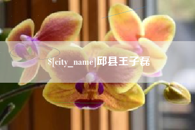 怀化邱县王子磊