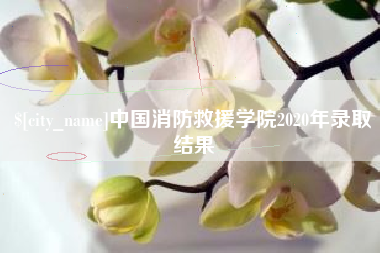 怀化中国消防救援学院2020年录取结果