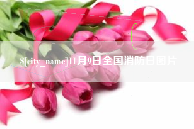 怀化11月9日全国消防日图片
