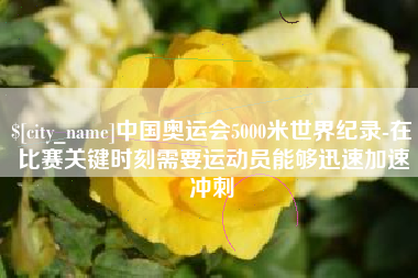 怀化中国奥运会5000米世界纪录-在比赛关键时刻需要运动员能够迅速加速冲刺