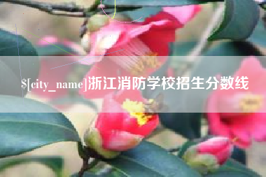 怀化浙江消防学校招生分数线