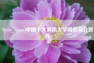 怀化中国十大消防大学排名及分数线