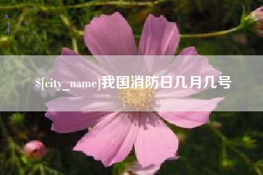 怀化我国消防日几月几号
