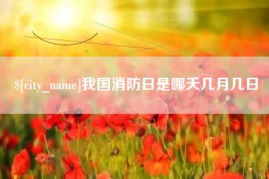 怀化我国消防日是哪天几月几日