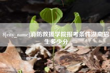 怀化消防救援学院报考条件湖南招生多少分