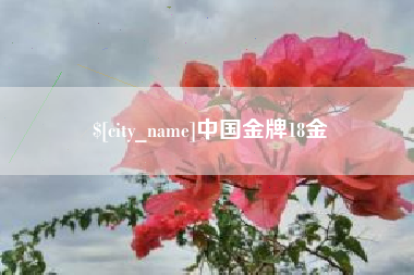 怀化中国金牌18金