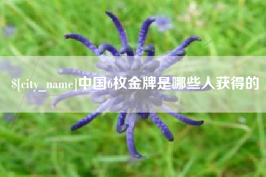 怀化中国6枚金牌是哪些人获得的
