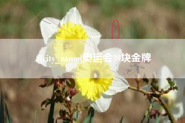 怀化奥运会39块金牌