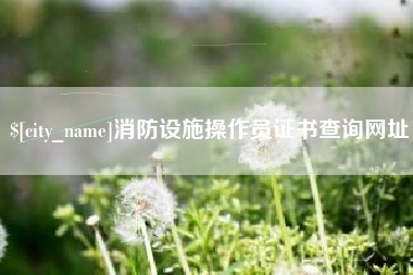 怀化消防设施操作员证书查询网址
