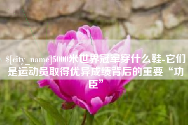 怀化5000米世界冠军穿什么鞋-它们是运动员取得优异成绩背后的重要“功臣”