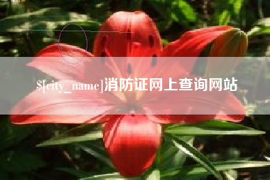 怀化消防证网上查询网站