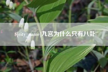 怀化九宫为什么只有八卦