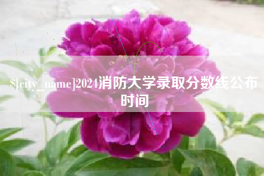 怀化2024消防大学录取分数线公布时间