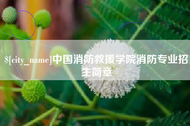 怀化中国消防救援学院消防专业招生简章