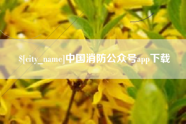 怀化中国消防公众号app下载