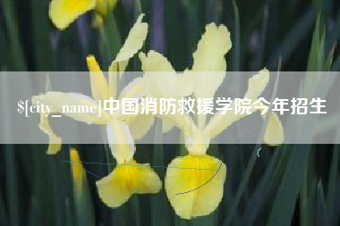 怀化中国消防救援学院今年招生