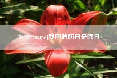 怀化我国消防日是哪日