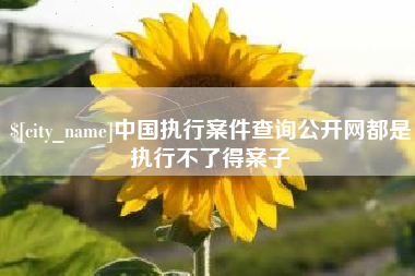 怀化中国执行案件查询公开网都是执行不了得案子