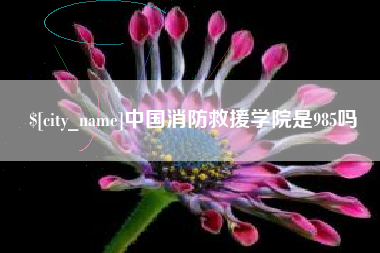 怀化中国消防救援学院是985吗