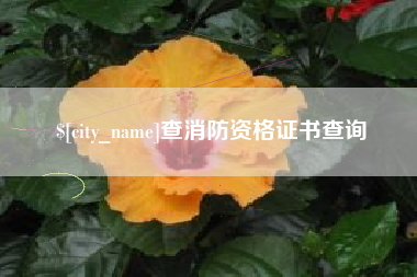 怀化查消防资格证书查询