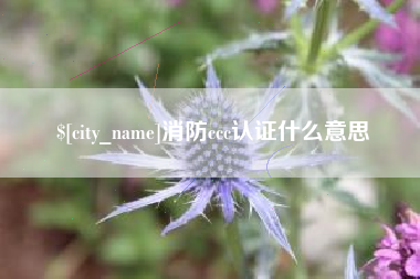 怀化消防ccc认证什么意思