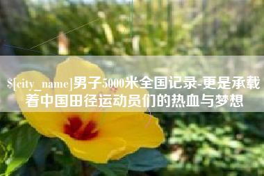 怀化男子5000米全国记录-更是承载着中国田径运动员们的热血与梦想