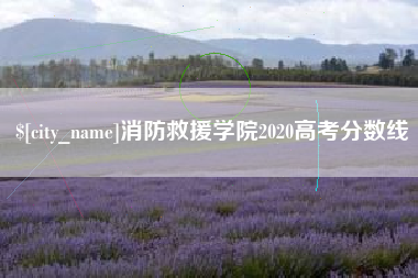 怀化消防救援学院2020高考分数线