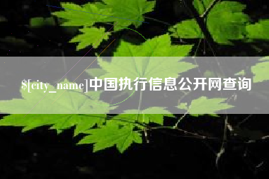 怀化中国执行信息公开网查询