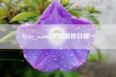 怀化全国消防日哪一